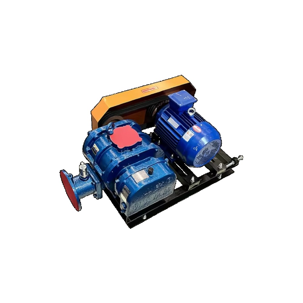 고출력 루츠 블로워 - 양식장, 새우 양식장 산소 공급 - Ac Power Supply 리뷰 및 가격